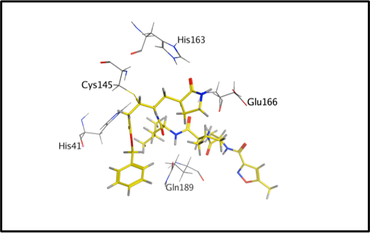 Fragment molecular orbital based interaction analyses on COVID-19 main protease